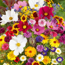 Load image into Gallery viewer, All Seasons Mix Flower Seeds– 100+ Kinds
