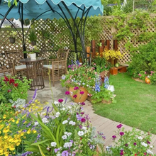 Load image into Gallery viewer, All Seasons Mix Flower Seeds– 100+ Kinds
