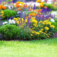 Load image into Gallery viewer, All Seasons Mix Flower Seeds– 100+ Kinds