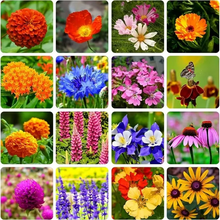 Load image into Gallery viewer, All Seasons Mix Flower Seeds– 100+ Kinds