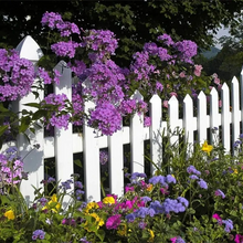 Load image into Gallery viewer, All Seasons Mix Flower Seeds– 100+ Kinds