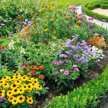 Load image into Gallery viewer, All Seasons Mix Flower Seeds– 100+ Kinds