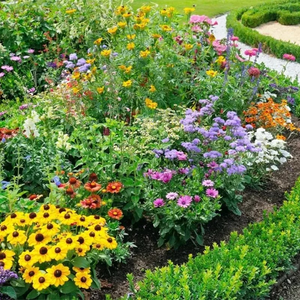 All Seasons Mix Flower Seeds– 100+ Kinds