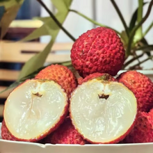 Load image into Gallery viewer, ✨Seedless Lychee Seeds