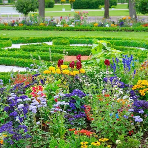 All Seasons Mix Flower Seeds– 100+ Kinds