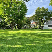 Load image into Gallery viewer, 🔥⏰Last Day Promotion - 🌱 Evergreen dwarf grass seed for four seasons🌾 | Create your perfect lawn here🌼